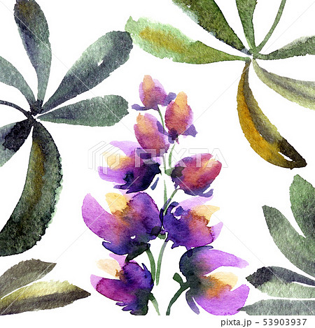 Watercolor painted lupines Watercolor painted lupines 53903937