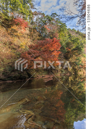 秋の養老渓谷の中瀬遊歩道の風景 53904686