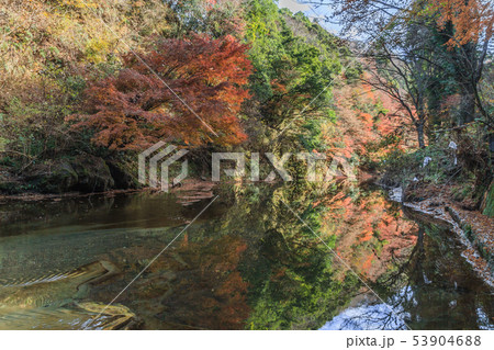 秋の養老渓谷の中瀬遊歩道の風景 53904688