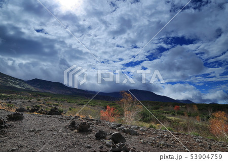 [定額] 十勝岳望岳台の紅葉 ( 北海道 / 美瑛町 / 望岳台 ) 53904759