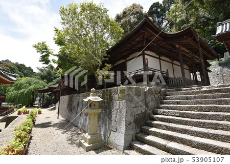 金剛寺 御影堂 金剛寺 御影堂 53905107