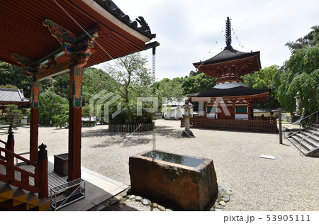 金剛寺　多宝塔 53905111