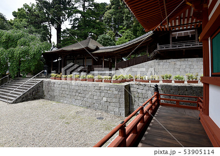 金剛寺 五仏堂 金剛寺 五仏堂 53905114