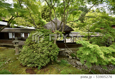 金剛寺 金剛寺 53905276