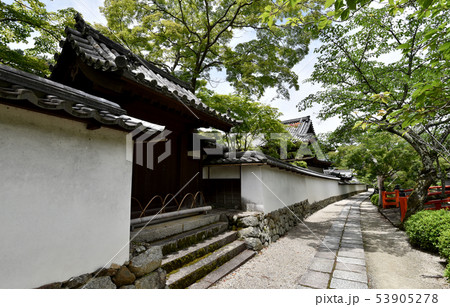 金剛寺 金剛寺 53905278