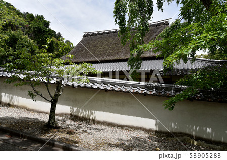 金剛寺 奥殿 金剛寺 奥殿 53905283