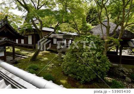 金剛寺 53905430