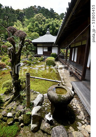 金剛寺　庭園 53905455
