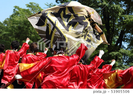 2019年YOSAKOIソーラン祭り 53905506