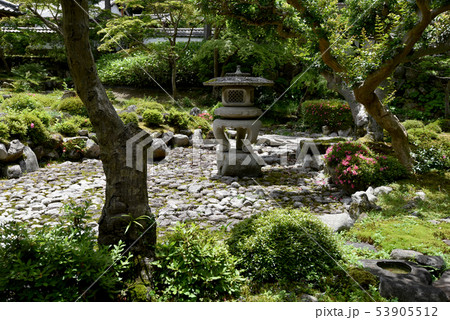 金剛寺 庭園 金剛寺 庭園 53905512
