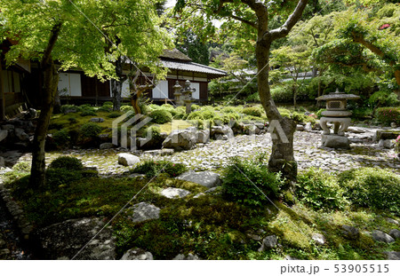 金剛寺 庭園 金剛寺 庭園 53905515
