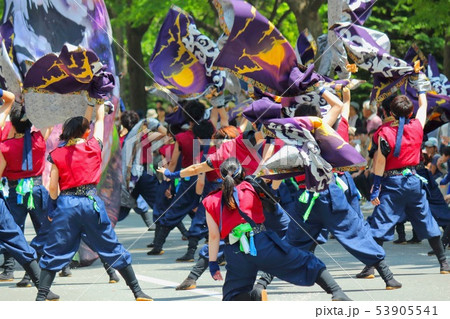 2019年YOSAKOIソーラン祭り 2019年YOSAKOIソーラン祭り 53905541