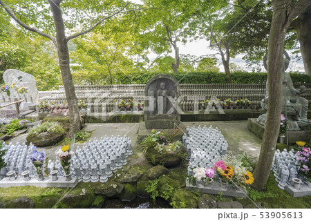 長谷寺(鎌倉市長谷) 53905613