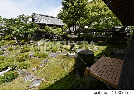 金剛寺　奥殿から庭園を望む 53905650