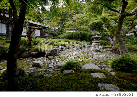 金剛寺 庭園 金剛寺 庭園 53905651