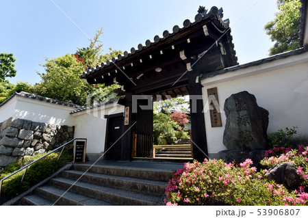 東福寺 霊源院 東福寺 霊源院 53906807