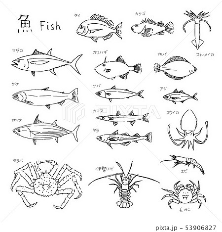 ほうき プロポーショナル 噂 魚 ゲーム イラスト Lasformulasnaturalesparalamujer Com