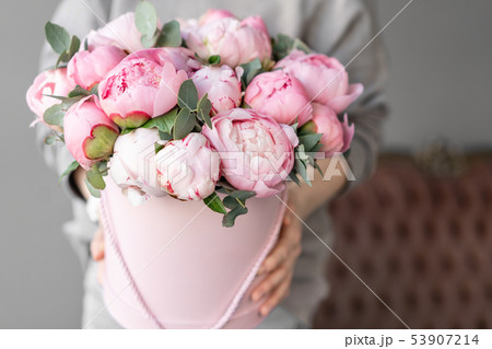 Pink peonies in womans hands. Beautiful peony flower for catalog or online store. Floral shop Pink peonies in womans hands. Beautiful peony flower for catalog or online store. Floral shop 53907214