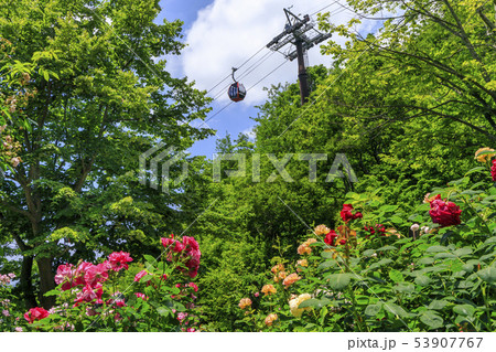 神戸布引ハーブ園 53907767