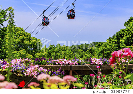 神戸布引ハーブ園 53907777