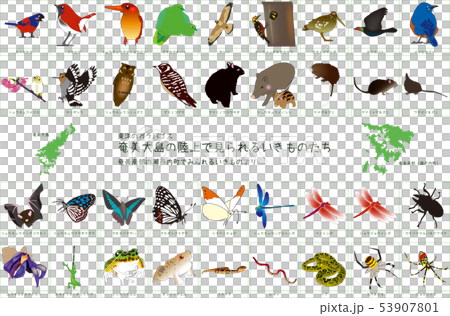 Amami Nangoku land animal set 36 animals with map 53907801
