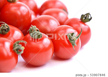 ミニトマト（麗） 53907846