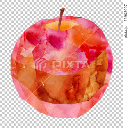 りんご・赤 53908007