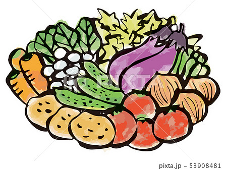 墨絵 野菜イラストのイラスト素材