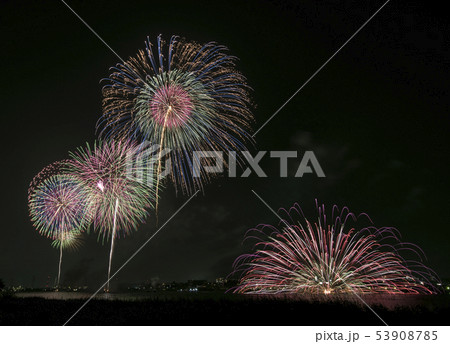 手賀沼花火大会　千葉県柏市　千葉県我孫子市 53908785