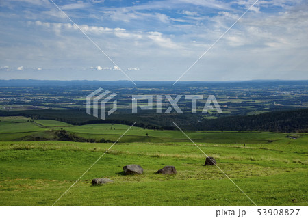 ナイタイ高原牧場 53908827