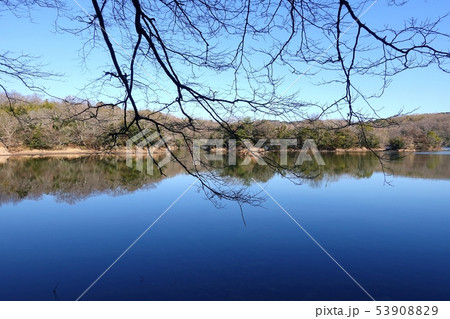 伊豆の瞳一碧湖の冬 53908829