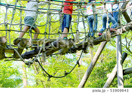 アスレチック 53909643