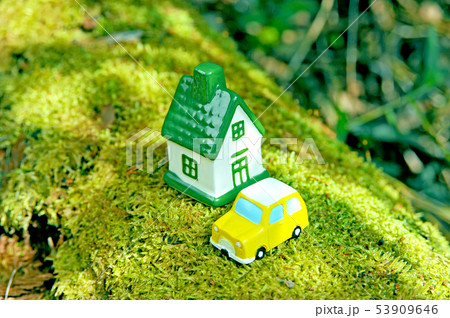 緑の中の家と車 53909646