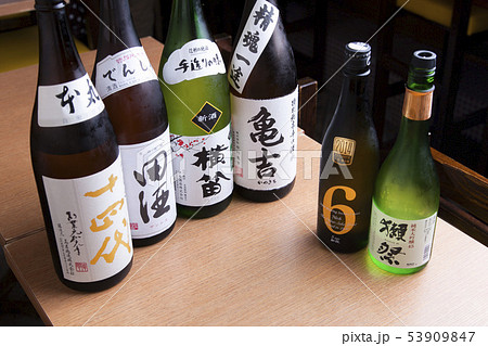 お酒（日本酒）の瓶の集合写真 53909847