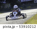 レーシングカート 53910212