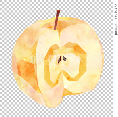 Apple, yellow, cut Apple, yellow, cut 53910372