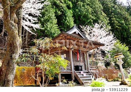 栃尾観音堂 栃尾観音堂 53911229