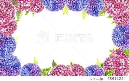 Hydrangea painting with watercolor for background. 53911244