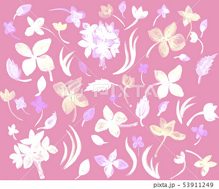 Hydrangea seamless pattern with watercolor. Hydrangea seamless pattern with watercolor. 53911249