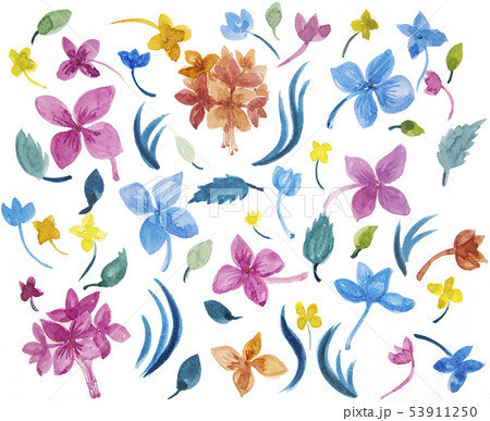 Hydrangea seamless pattern with watercolor. Hydrangea seamless pattern with watercolor. 53911250
