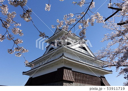 上山城と桜 53911719