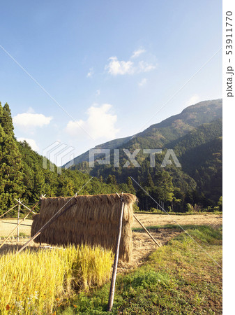収穫風景 収穫風景 53911770