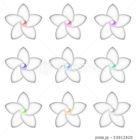 プルメリアアイコン小真珠 53912820