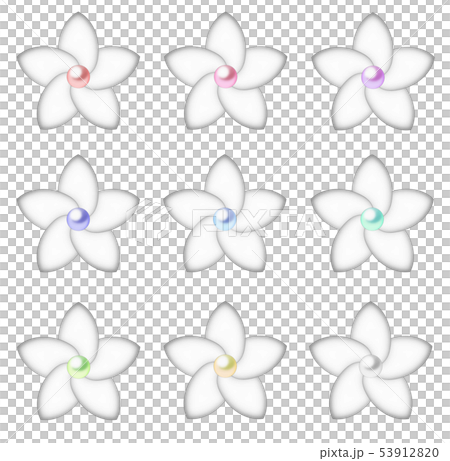 プルメリアアイコン小真珠 53912820