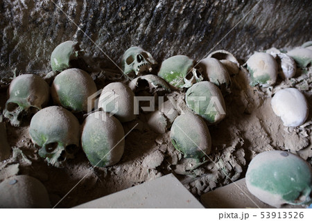 Skull and bones 53913526