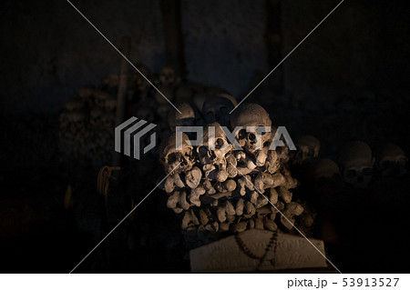 Skull and bones 53913527