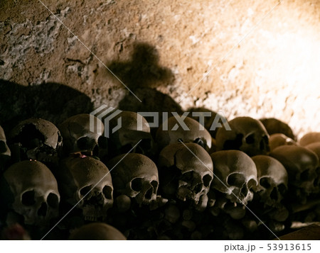 Skull and bones 53913615