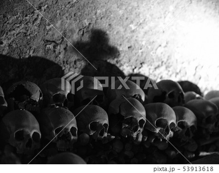 Skull and bones Skull and bones 53913618