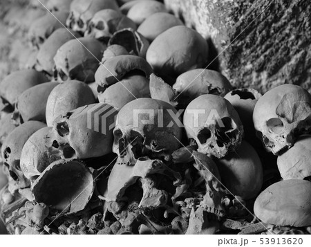 Skull and bones 53913620