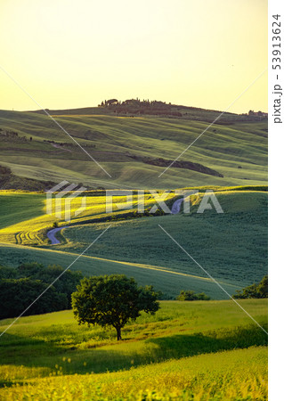 Tuscany landscape at sunrise. Typical for the Tuscany landscape at sunrise. Typical for the 53913624